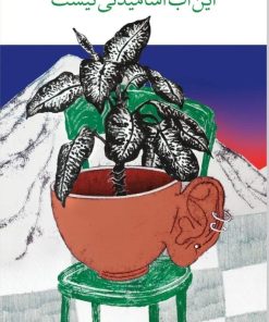 کتاب این آب آشامیدنی نیست | انتشارات نشر چشمه