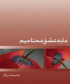 کتاب ما به عشق محتاجیم | انتشارات ذهن آویز