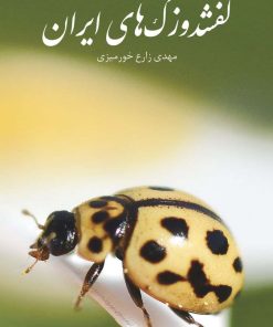 کتاب راهنمای میدانی کفشدوزک های ایران | انتشارات ایران شناسی