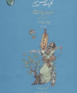 کتاب کلیات شمس تبریزی (دو جلدی، بدون قاب) | انتشارات فکر روز