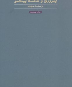 کتاب پیروزی و شکست پیکاسو | انتشارات حرفه نویسنده