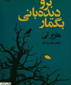 کتاب برو دیده بانی بگمار | انتشارات قطره