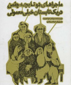 کتاب ماجراهای دو تا بچه چلمن در یک تابستان خیلی معمولی | انتشارات پرنده آبی