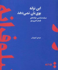 کتاب این ترانه بوی نان نمی دهد | انتشارات کتاب آبی