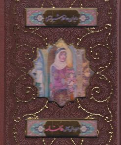 کتاب دیوان حافظ (جیبی، قابدار) | انتشارات پیام عدالت