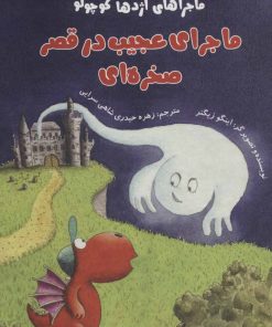 کتاب ماجرای عجیب در قصر صخره ای | انتشارات پرنده آبی