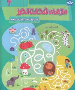 کتاب مازهای شگفت انگیز 2 | انتشارات برکه آبی