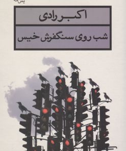 کتاب شب روی سنگفرش خیس | انتشارات قطره