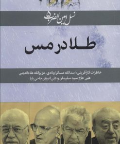 کتاب طلا در مس | انتشارات امین الضرب