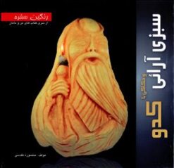 کتاب سبزی آرائی و حکاکی با کدو | انتشارات بین المللی حافظ