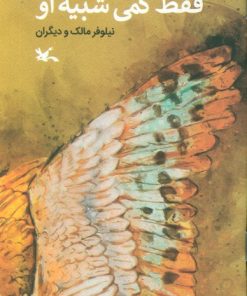 کتاب فقط کمی شبیه او | انتشارات کانون پرورش فکری کودکان و نوجوانان