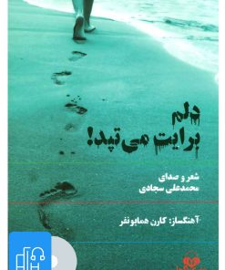 کتاب کتاب صوتی دلم برایت می تپد! | انتشارات نوین کتاب گویا