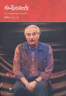 کتاب پاییز در بزرگ راه | انتشارات سرزمین اهورایی