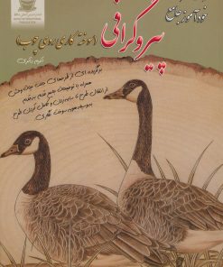 کتاب خودآموز جامع پیروگرافی | انتشارات بین المللی حافظ