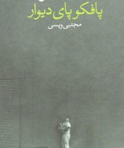 کتاب پافکو پای دیوار | انتشارات وال