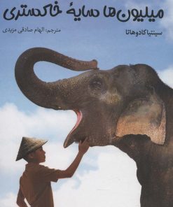 کتاب میلیون ها سایه خاکستری | انتشارات آلاچیق