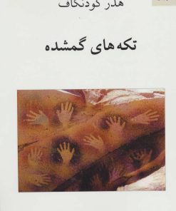 کتاب تکه های گمشده | انتشارات ناهید