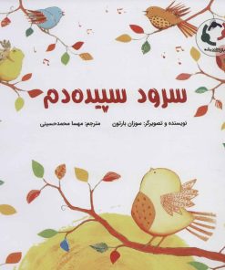 کتاب سرود سپیده دم | انتشارات بازی و اندیشه