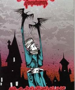 کتاب قصه افسانه از دست رفته | انتشارات نشر ویدا