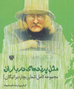 کتاب مثل پرنده ای در باران | انتشارات سرزمین اهورایی