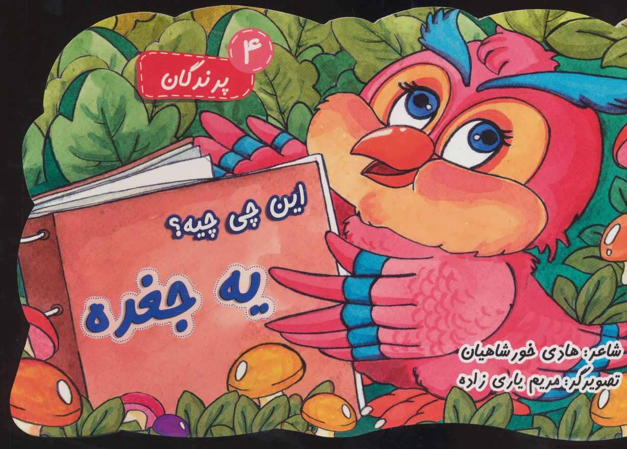 کتاب این چی چیه؟ یه جغده | انتشارات خط خطی