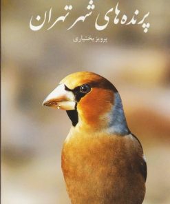 کتاب پرنده های شهر تهران | انتشارات ایران شناسی