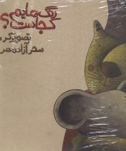 کتاب رنگ هایم کجاست 3 | انتشارات پرنده آبی