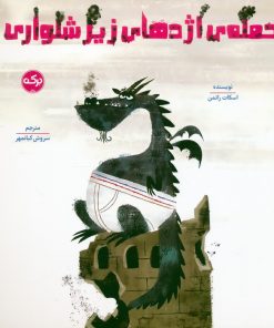 کتاب حمله‌ی اژدهای زیرشلواری | انتشارات برکه آبی