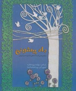 کتاب ماه پیشونی | انتشارات نشر ویدا