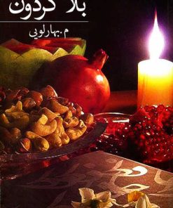 کتاب بلاگردون | انتشارات برکه خورشید