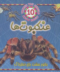 کتاب عنکبوت ها | انتشارات جاجرمی