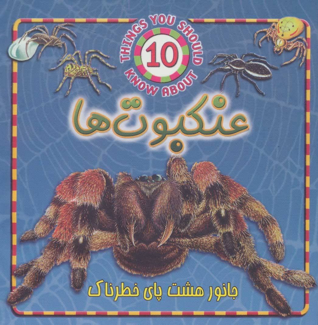 کتاب عنکبوت ها | انتشارات جاجرمی