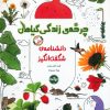 کتاب چرخه‌ی زندگی گیاهان | انتشارات برکه آبی