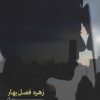 کتاب پرسونا | انتشارات شادان