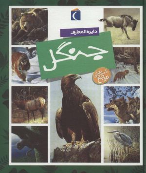کتاب دایره المعارف جنگل | انتشارات محراب قلم