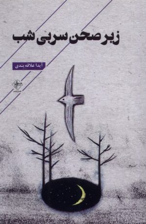 کتاب زیر صحن سربی شب | انتشارات فصل پنجم