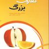 کتاب تفاوت بزرگ | انتشارات نسل نواندیش