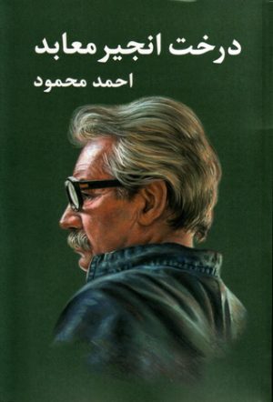 کتاب درخت انجیر معابد (۲ جلدی) | انتشارات معین