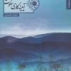 کتاب آیینه کاری سکوت | انتشارات شهرستان ادب