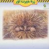 کتاب زره حیرت آور | انتشارات مهاجر