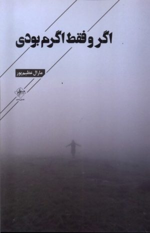 کتاب اگر و فقط اگرم بودی | انتشارات فصل پنجم