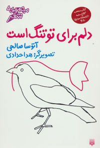 کتاب دلم برای تو تنگ است | انتشارات پیدایش