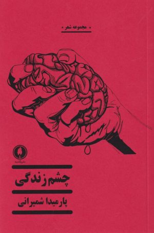 کتاب چشم زندگی | انتشارات یکشنبه