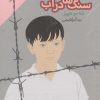 کتاب سنگ ها در آب | انتشارات دنیای اقتصاد