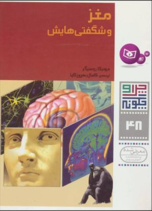 کتاب مغز و شگفتی هایش | انتشارات قدیانی