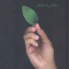 کتاب یک حرف صوفیانه | انتشارات سخن