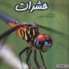 کتاب دنیای هیجان انگیز حشرات | انتشارات نوشته