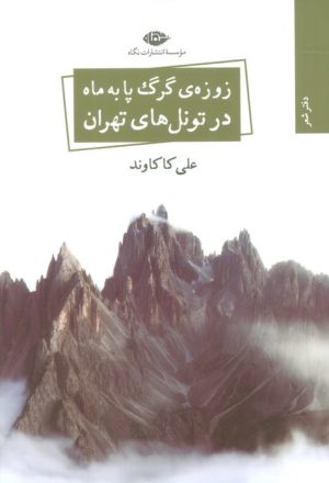 کتاب زوزه ی گرگ پا به ماه در تونل های تهران | انتشارات نگاه