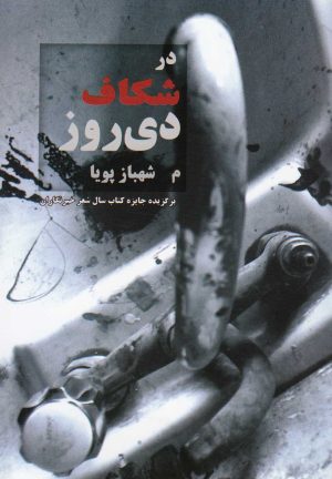 کتاب در شکاف دی روز | انتشارات آرادمان