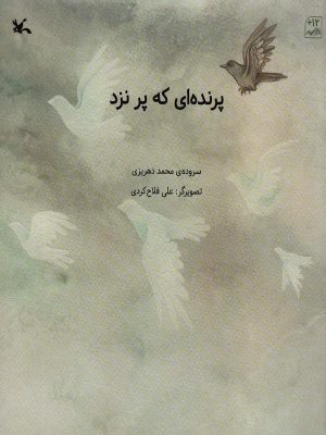 کتاب پرنده ای که پر نزد | انتشارات کانون پرورش فکری کودکان و نوجوانان